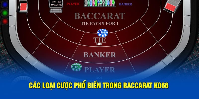 Các hình thức cược thông dụng trong baccarat KO66