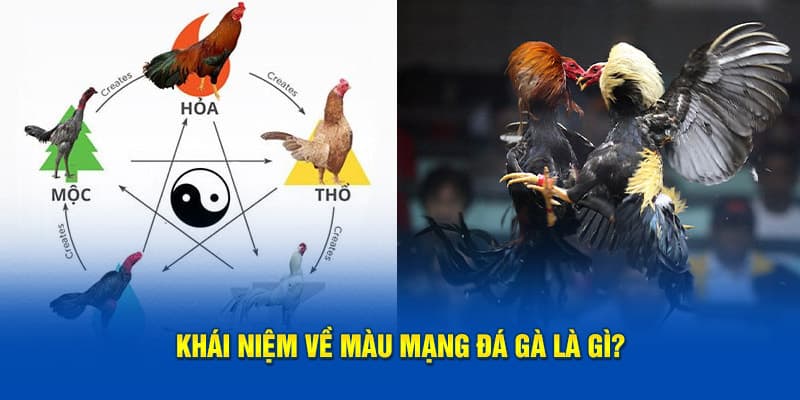 Khái niệm về màu mạng gà đá là gì