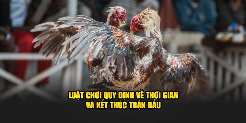 Luật chơi quy định về thời gian và kết thúc trận đấu